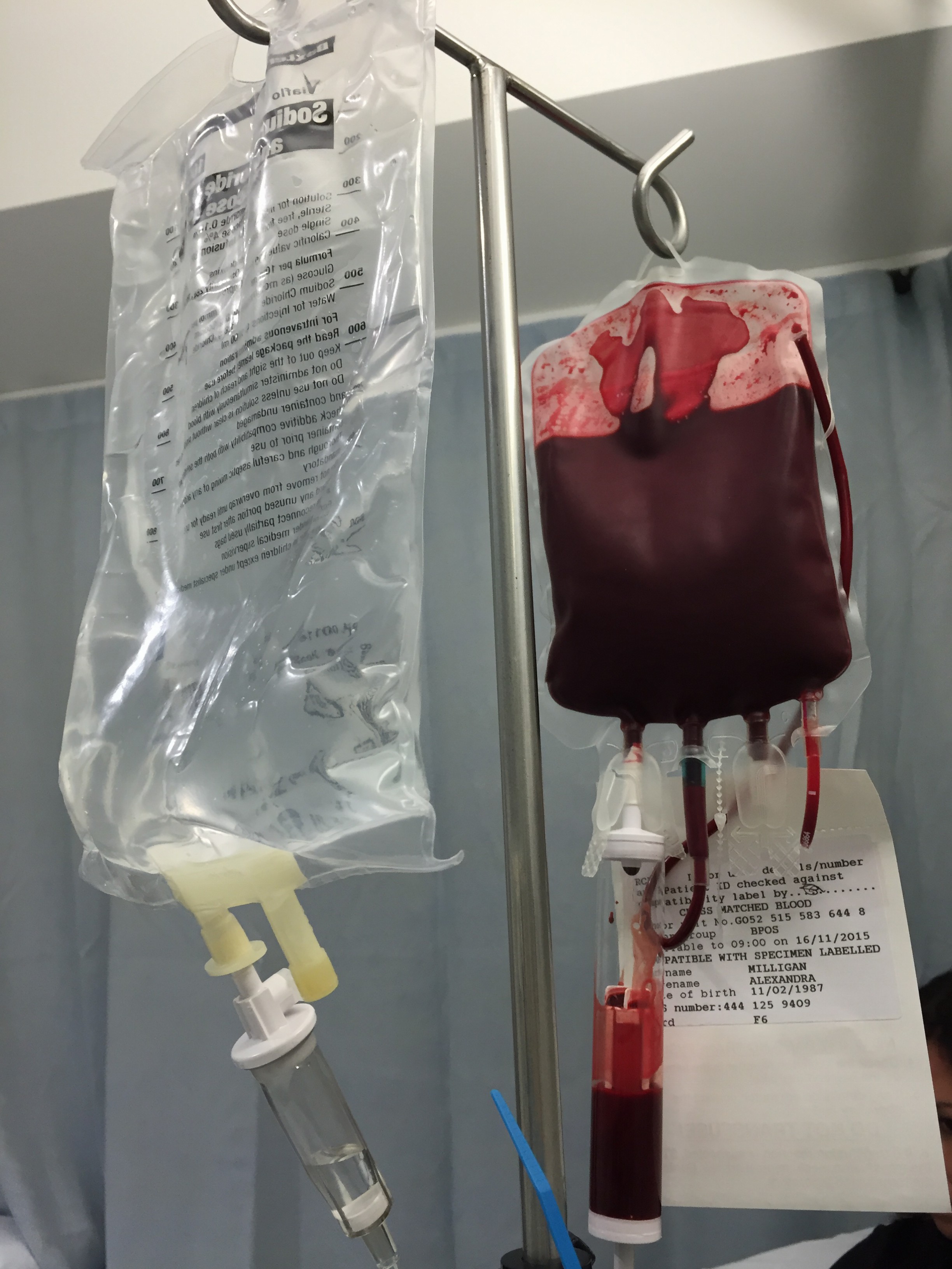 ALL you need is blood Alex is ALL in ALL you need is blood Alex is ALL in